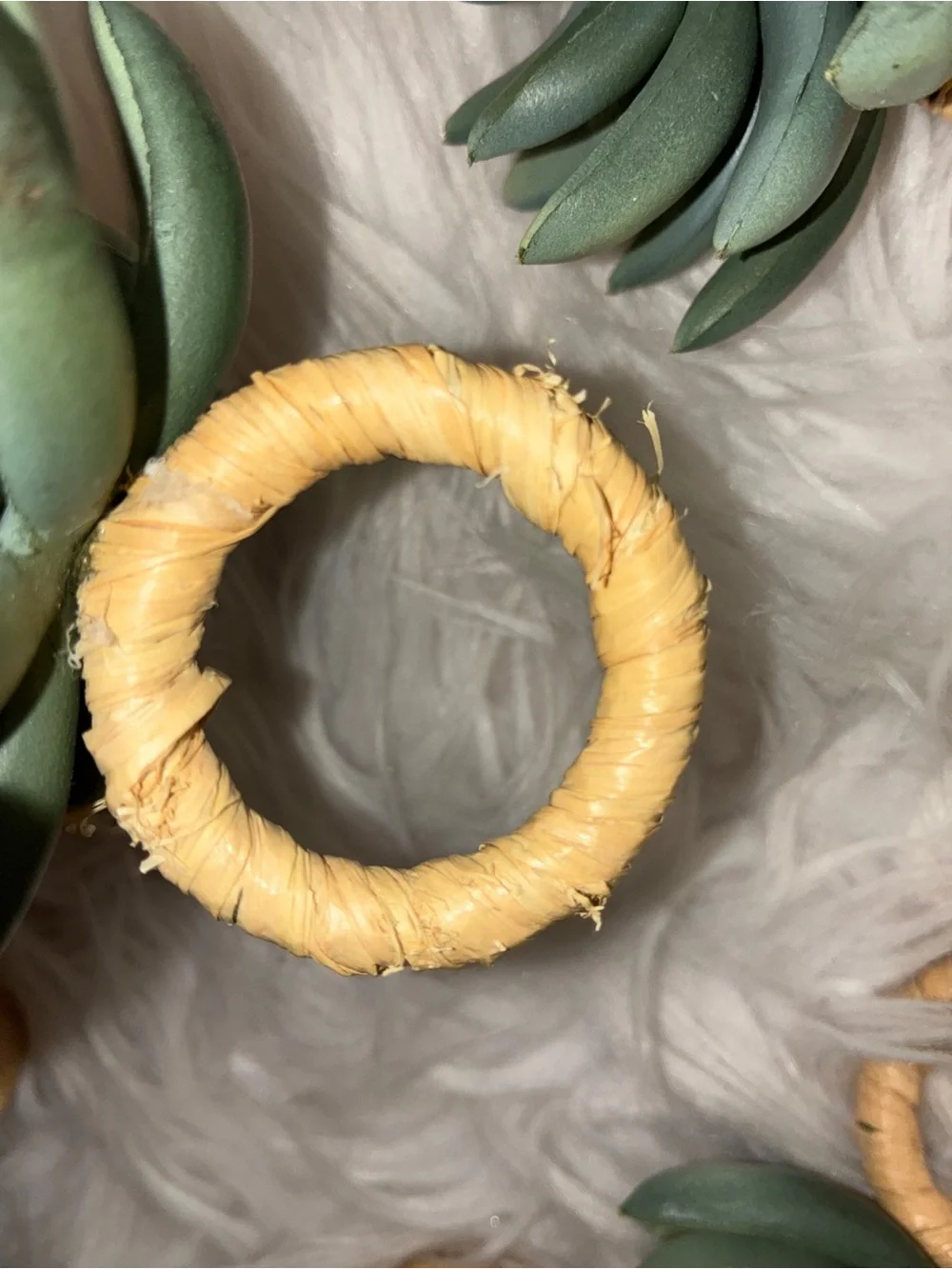 Pottery Barn Succulent green napkin rings set 8